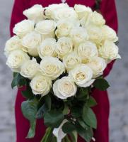 25 белых роз Эквадор 80см