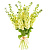 Букет из 9 желтых маттиол