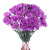 Букет из 27 сиреневых гвоздик Букет из 27 сиреневых гвоздик