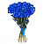 Букет из 27 синих роз
