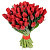 Букет из 35 красных тюльпанов