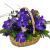 Букет сборный в корзине "Синяя птица" Букет сборный в корзине "Синяя птица"