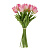 Букет из розовых тюльпанов 17 шт.