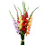 Букет MIX из 11 гладиолусов